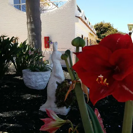 Apartamento Luminous In Quiet Area *